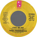 Teddy Pendergrass : Can't We Try / This Gift Of Life (7", Styrene)