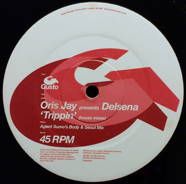 Oris Jay Presents Delsena : Trippin' (House Mixes) (12", Promo)