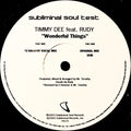 Timmy Dee Feat. Rudy Sandapa : Wonderful Things (12", TP)