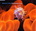 Adamski's Thing : Intravenous Venus (CD, Maxi, CD1)