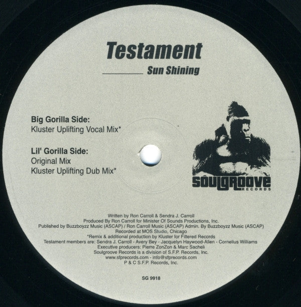 Testament : Sun Shining (12")