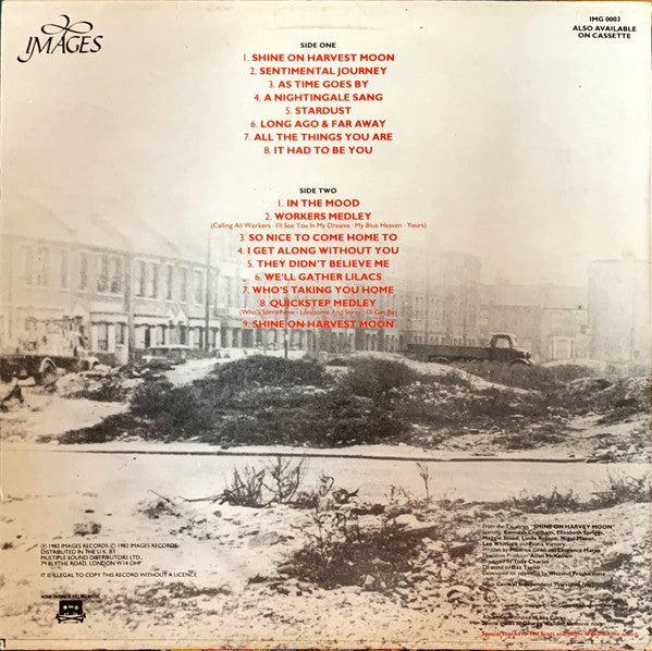 Various : Shine On Harvey Moon (LP, 33R)
