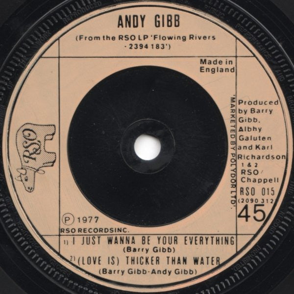 Andy Gibb : An Everlasting Love (7", Single, Pic)