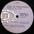 Zan & Wandalis : You're So Vain (12", Promo)