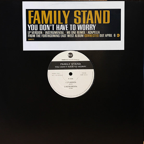 The Family Stand : You Don't Have To Worry (12", Promo)