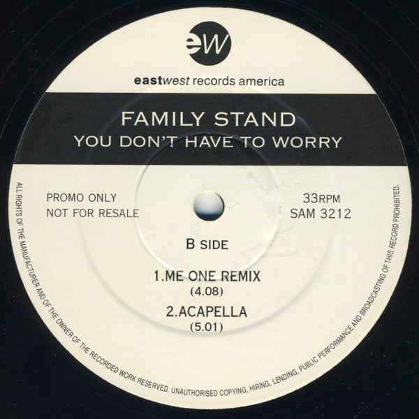 The Family Stand : You Don't Have To Worry (12", Promo)