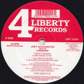 Joey Washington Featuring Lawanda : Don't Wanna Lose Your Love (2x12")