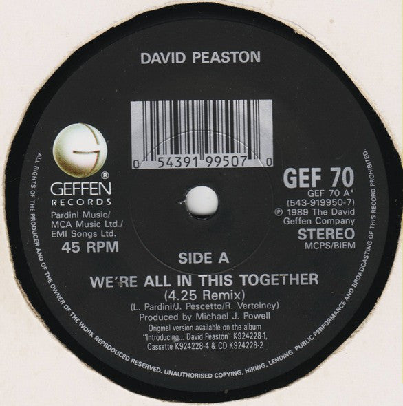 David Peaston : We're All In This Together (7", Single)