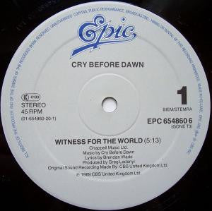 Cry Before Dawn : Witness For The World (12", Maxi)