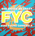 Fine Young Cannibals : She Drives Me Crazy (12", Single)