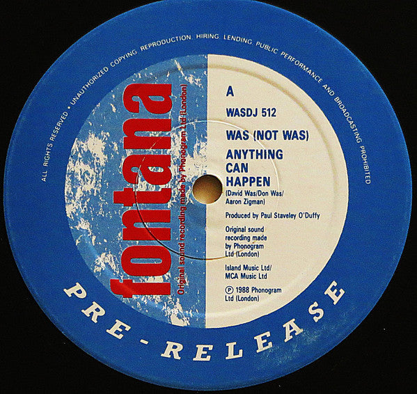 Was (Not Was) : Anything Can Happen (12", Promo)