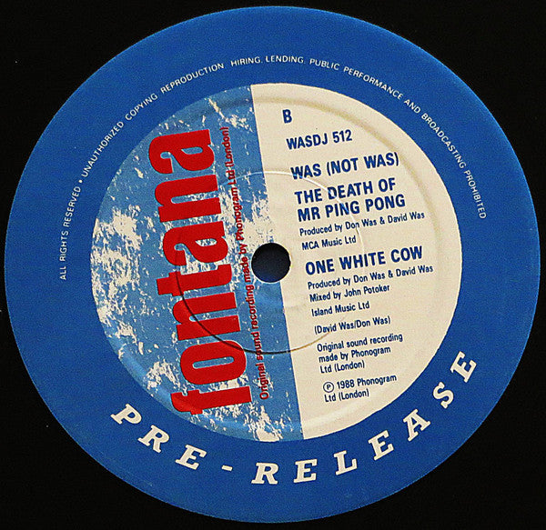 Was (Not Was) : Anything Can Happen (12", Promo)