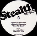 DJ Oliver Presents Noche En Granada : Free My Soul (12", Promo)