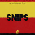 DJ Snips Feat. Pauline Taylor : Say It (12")