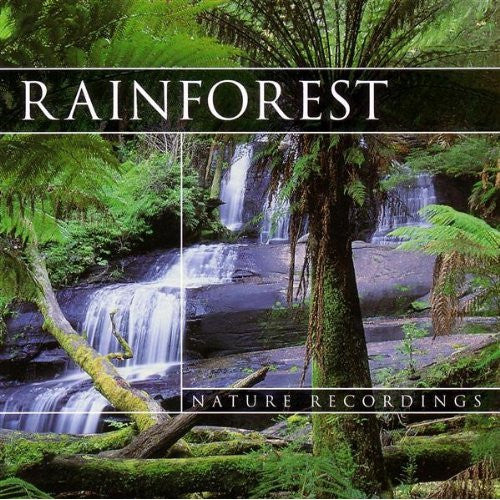 No Artist : Rainforest (CD, Album)