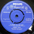 Robert Earl : A Place In The Sun (7")