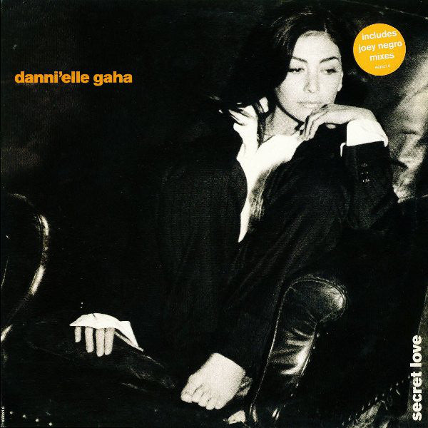 Danni'elle Gaha : Secret Love (12")