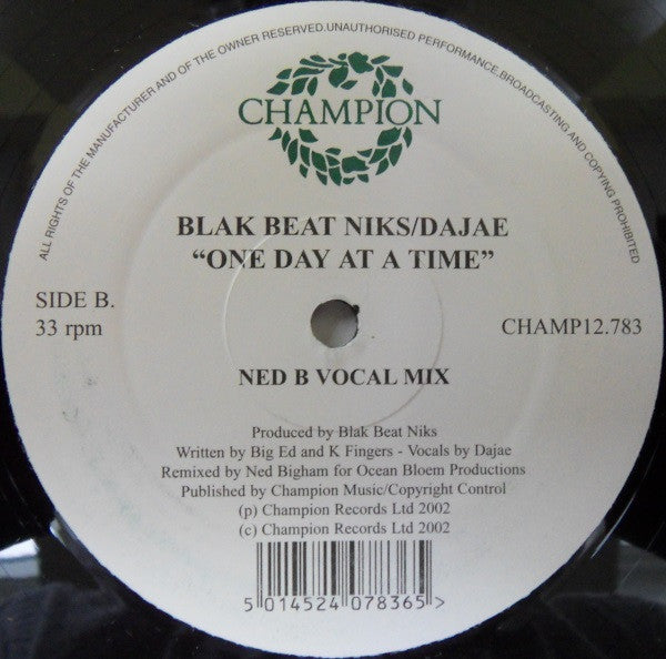 Blak Beat Niks : One Day At A Time (12")