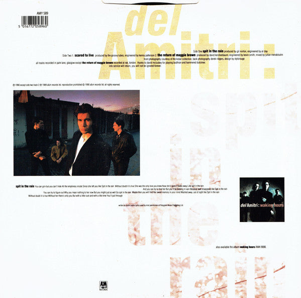 Del Amitri : Spit In The Rain (12", Single)