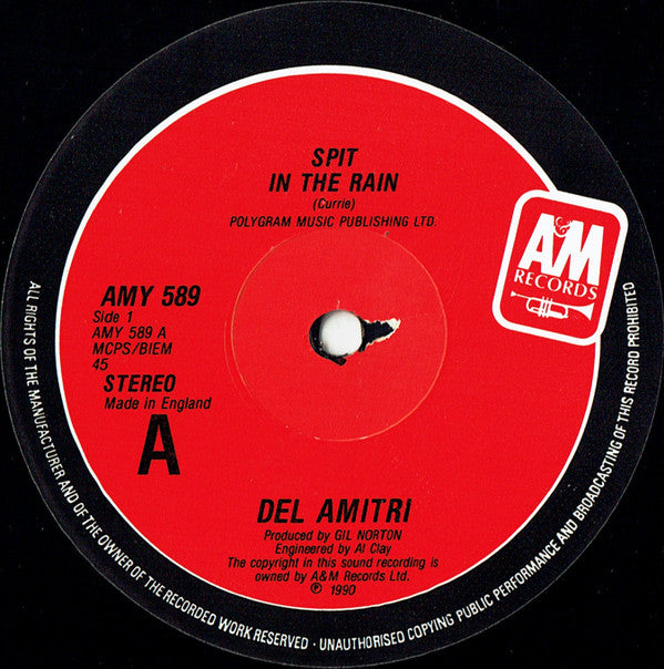 Del Amitri : Spit In The Rain (12", Single)