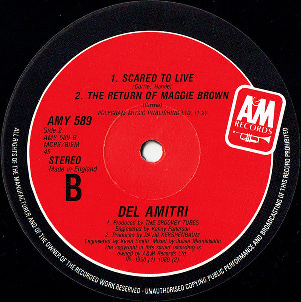 Del Amitri : Spit In The Rain (12", Single)