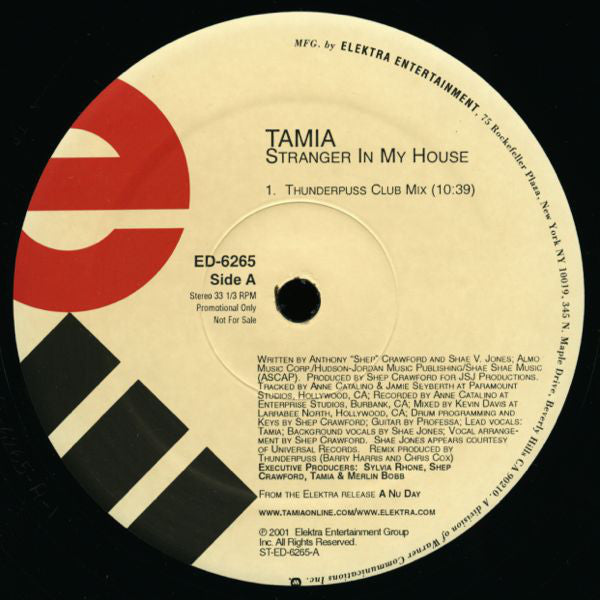 Tamia : Stranger In My House (2x12", Promo)