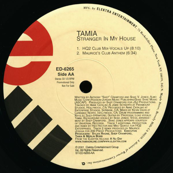 Tamia : Stranger In My House (2x12", Promo)