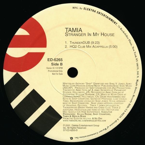 Tamia : Stranger In My House (2x12", Promo)