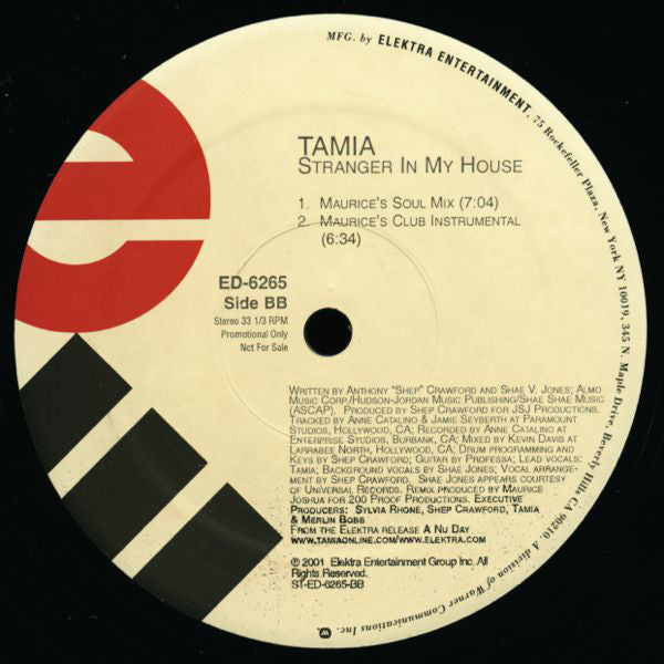 Tamia : Stranger In My House (2x12", Promo)