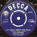 The Fortunes : Is It Really Worth Your While? (7")