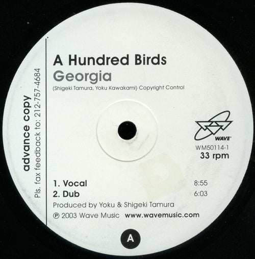 A Hundred Birds : Georgia (12", TP)