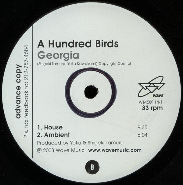 A Hundred Birds : Georgia (12", TP)