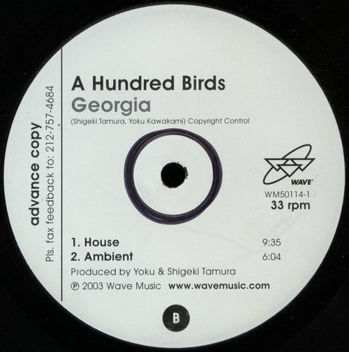 A Hundred Birds : Georgia (12", TP)