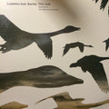 Lullabies : This Way (12")