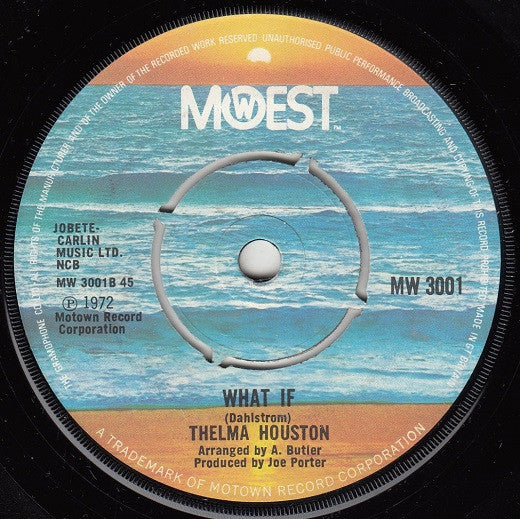 Thelma Houston : No One's Gonna Be A Fool Forever (7", Single)