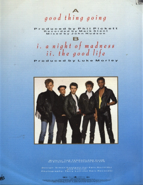 Terraplane : Good Thing Going (12", Single)