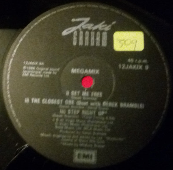 Jaki Graham : The Megamix (12", Maxi)