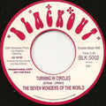 The Seven Wonders Of The World : Turning In Circles / Just One Chance To Say Goodbye (7", Promo)