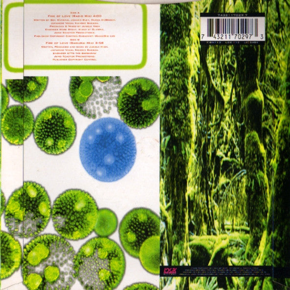 Jungle High And Blue Pearl : Fire Of Love (7")