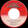 The Moments : Rain In My Backyard (7")