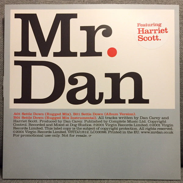 Mr. Dan : Settle Down (12", Promo)