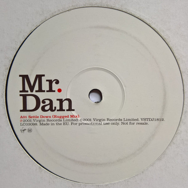 Mr. Dan : Settle Down (12", Promo)