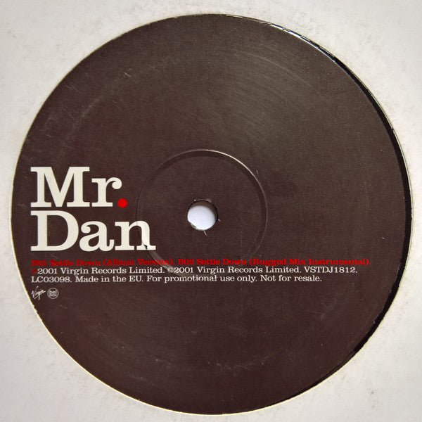 Mr. Dan : Settle Down (12", Promo)