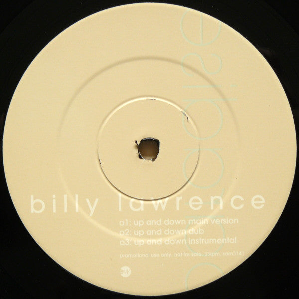 Billy Lawrence : Up And Down / Paradise (12", Promo)