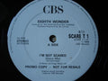 Eighth Wonder : I'm Not Scared (12", Single, Promo)