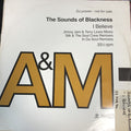 Sounds Of Blackness : I Believe (12", Promo)
