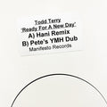 Todd Terry : Ready For A New Day (12", W/Lbl)