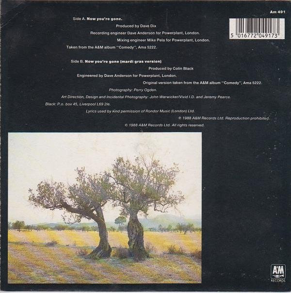 Black (2) : Now You're Gone (7", Single)