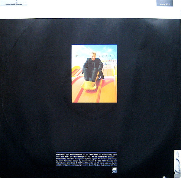 Black (2) : Wonderful Life (12", Single)