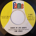 Jimmy Hughes : Goodbye My Love Goodbye / It Was Nice (7", Mon)